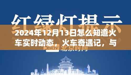 火车奇遇记，实时追踪与时光同行的温馨火车动态