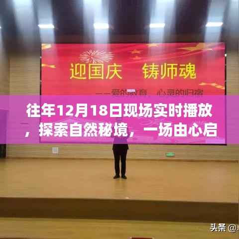 探索自然秘境，一场由心启航的旅行盛宴，相约自然之门的盛宴