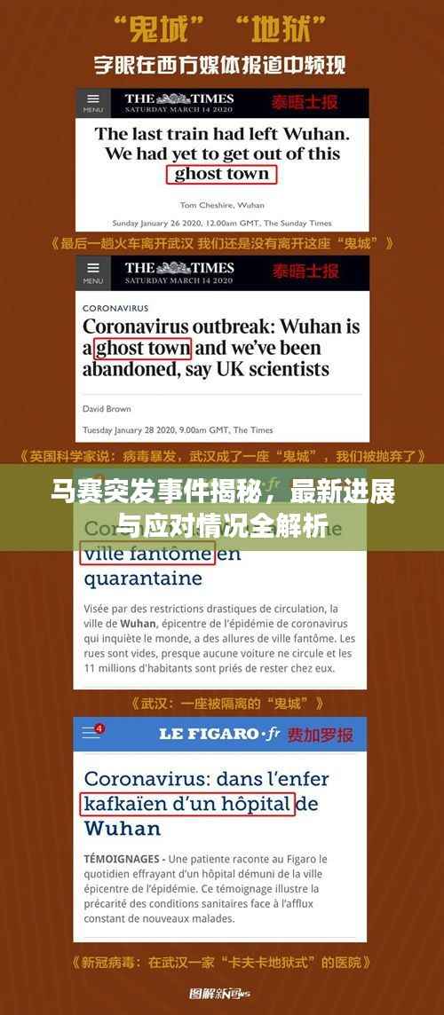 马赛突发事件揭秘，最新进展与应对情况全解析