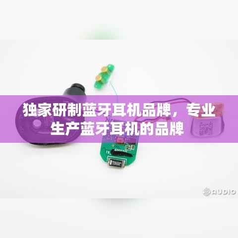 独家研制蓝牙耳机品牌，专业生产蓝牙耳机的品牌 