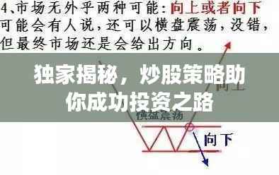 独家揭秘,炒股策略助你成功投资之路