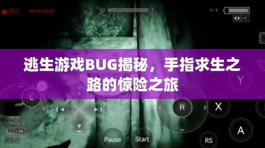逃生游戏BUG揭秘,手指求生之路的惊险之旅
