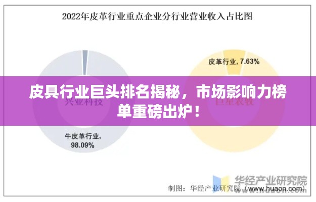 皮具行业巨头排名揭秘，市场影响力榜单重磅出炉！