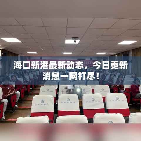 海口新港最新动态，今日更新消息一网打尽！