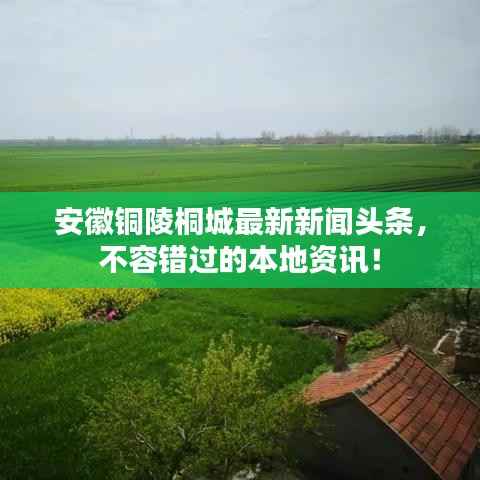 安徽铜陵桐城最新新闻头条，不容错过的本地资讯！