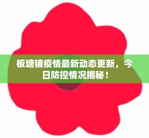 板塘铺疫情最新动态更新,今日防控情况揭秘!