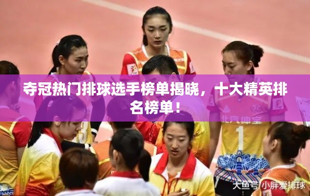夺冠热门排球选手榜单揭晓，十大精英排名榜单！