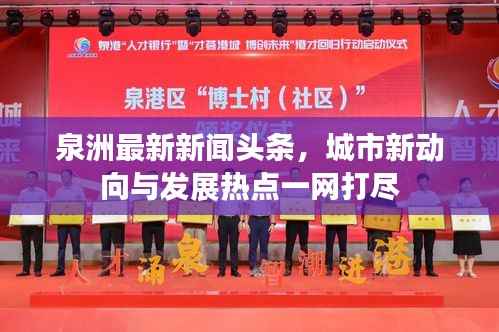 泉洲最新新闻头条，城市新动向与发展热点一网打尽