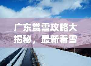 广东赏雪攻略大揭秘，最新看雪好去处