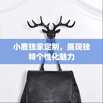 小鹿独家定制，展现独特个性化魅力