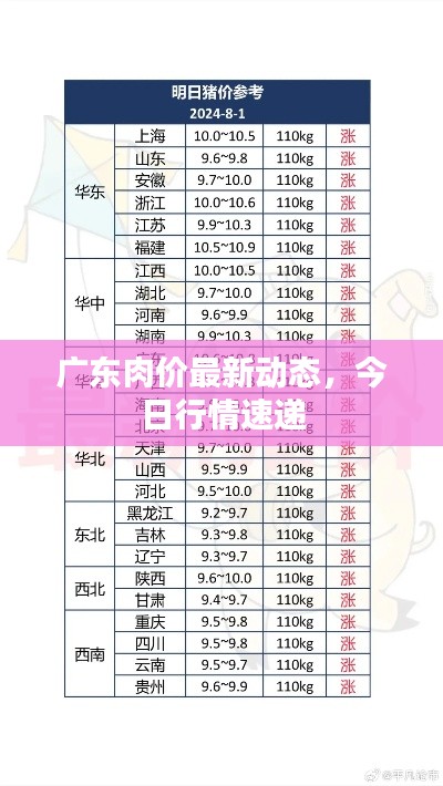 广东肉价最新动态，今日行情速递