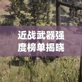 近战武器强度榜单揭晓，前十名武器实力比拼！