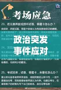 政治突发事件应对之道，危机处理与策略解析