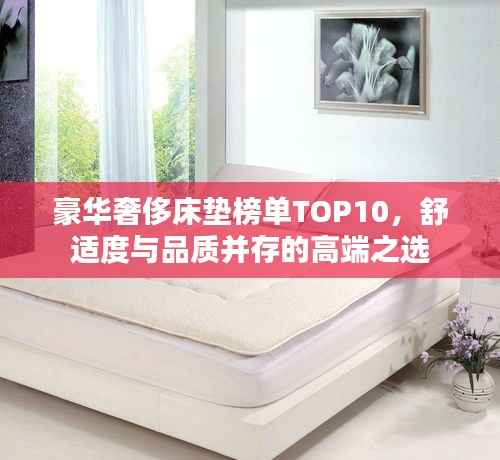 豪华奢侈床垫榜单TOP10，舒适度与品质并存的高端之选