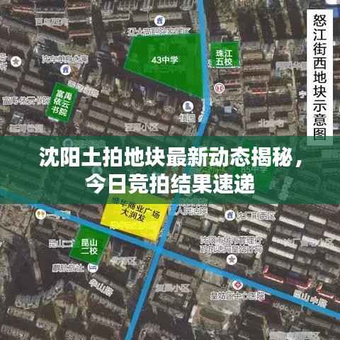 沈阳土拍地块最新动态揭秘,今日竞拍结果速递