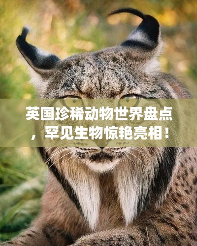 英国珍稀动物世界盘点,罕见生物惊艳亮相!