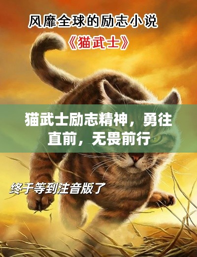 猫武士励志精神，勇往直前，无畏前行