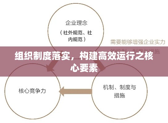 组织制度落实，构建高效运行之核心要素