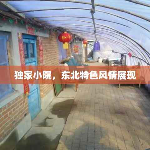 独家小院，东北特色风情展现